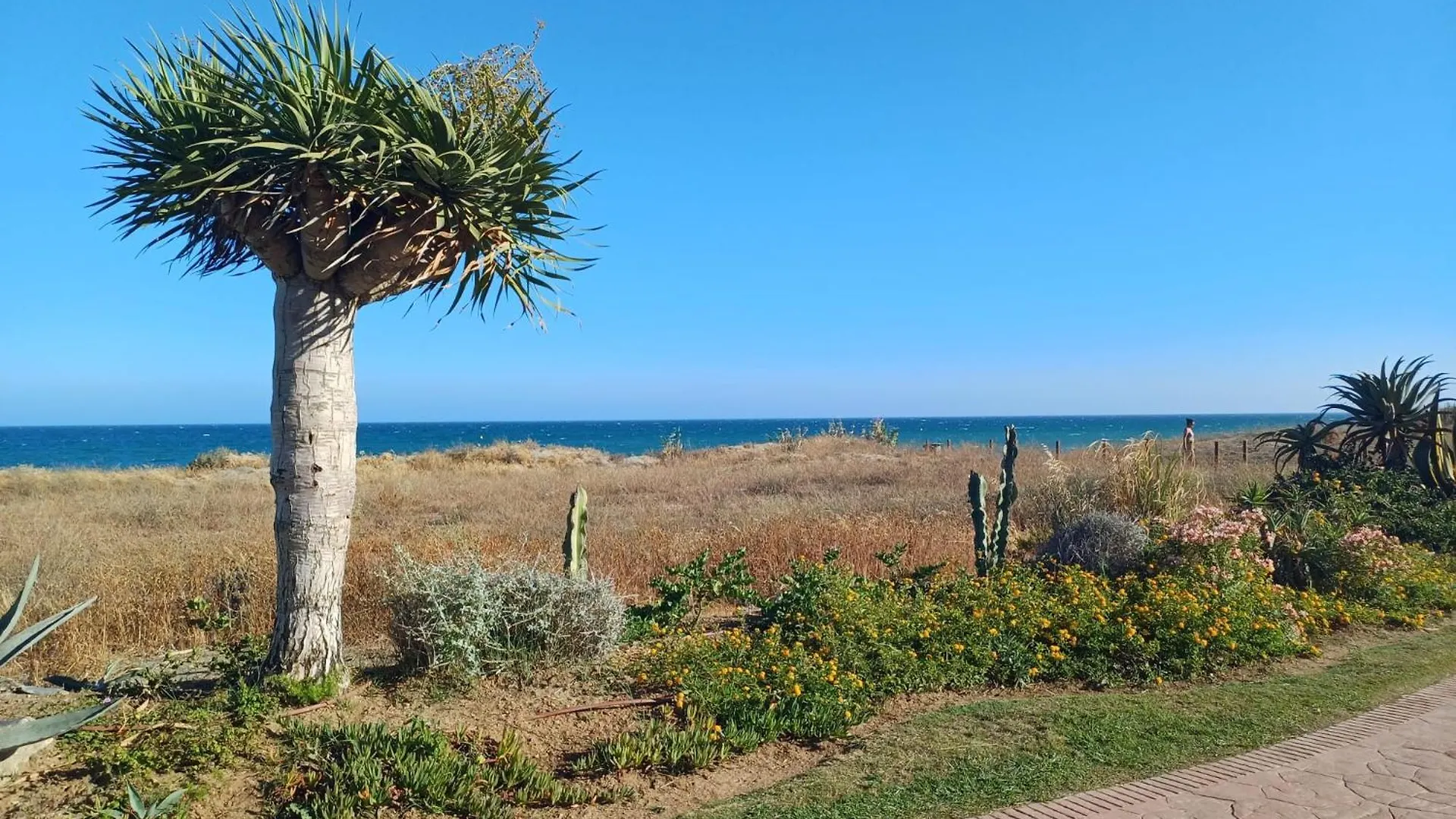 Casa Tolete Villa Estepona